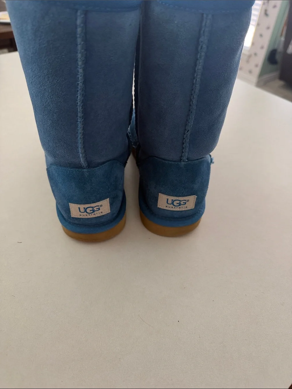 UGG Women's Mid-Calf Boot in Blue Suede